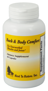 Back & Body Comfort v2