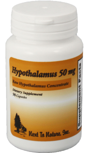 Hypothalamus-50_03