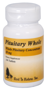 pituitary-whole-v2
